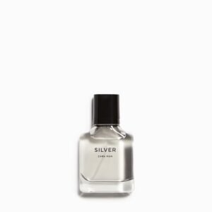 ZARA Man Silver 30ml