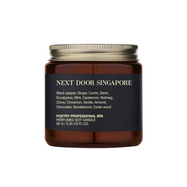 Свічка для масажу з ароматом ванілі, імбиру, кориці, мигдалю, мускусу, тютюну POETRY HOME Next Door Singapore 95g